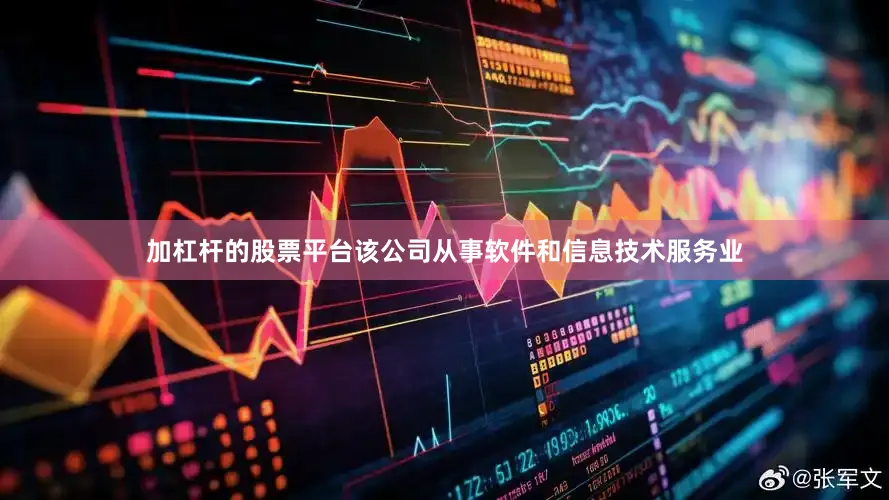 加杠杆的股票平台该公司从事软件和信息技术服务业