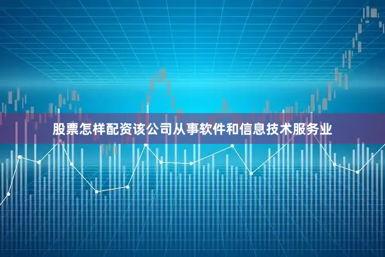 股票怎样配资该公司从事软件和信息技术服务业